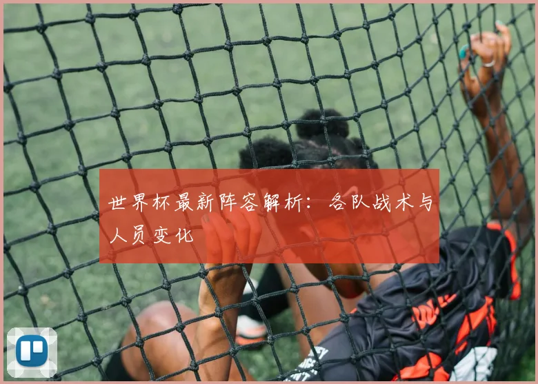 世界杯最新阵容解析：各队战术与人员变化